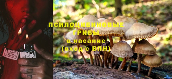 МДПВ Алзамай