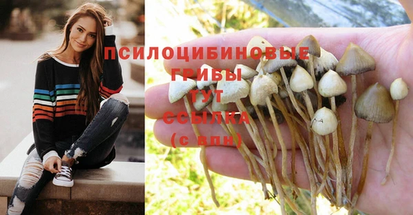 прущий лед Бердск